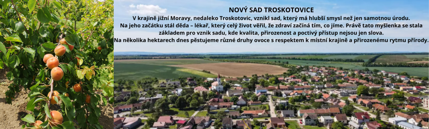 NS Nový sad