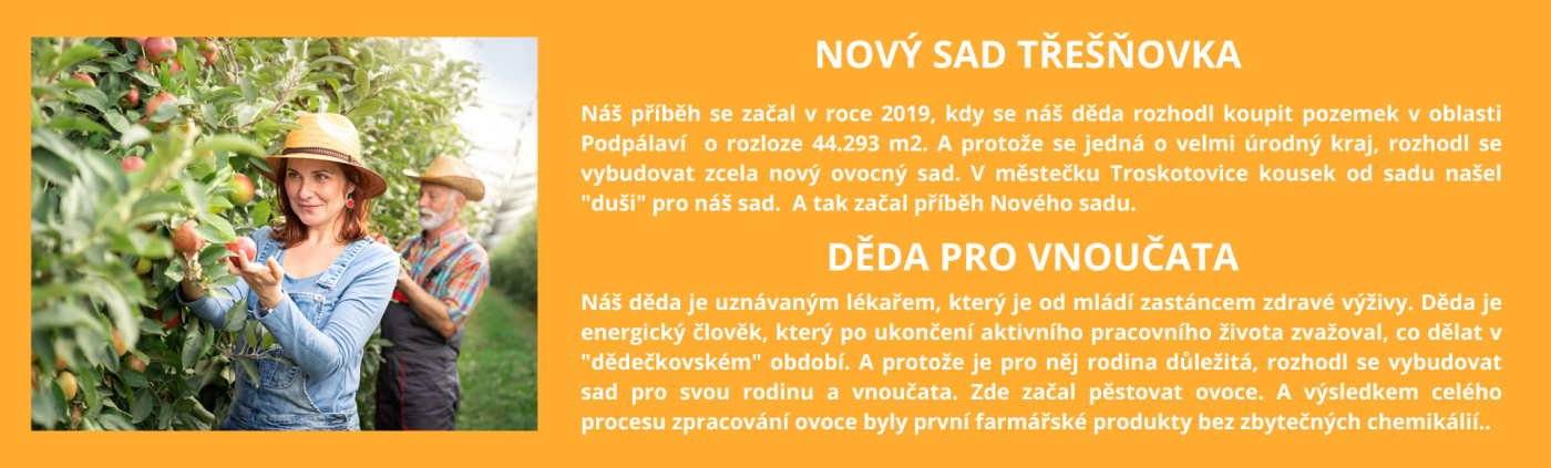 NS Nový sad